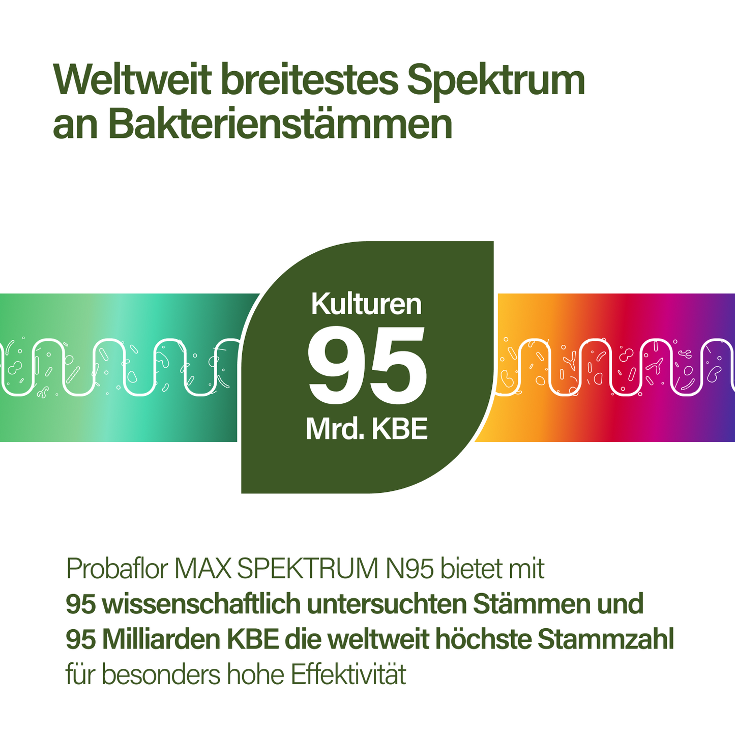 Ultimatives 2-in-1 Abnehm-Paket (ch)