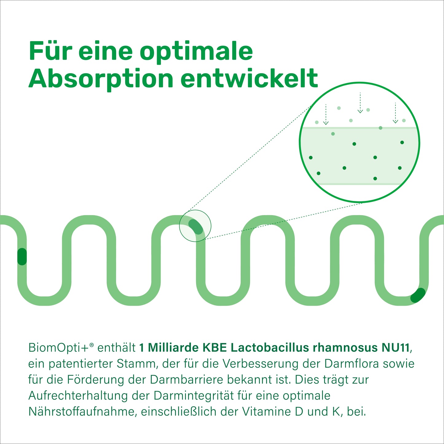 BiomOpti+® Vitamin D3 20000 + vitamin k2® 200