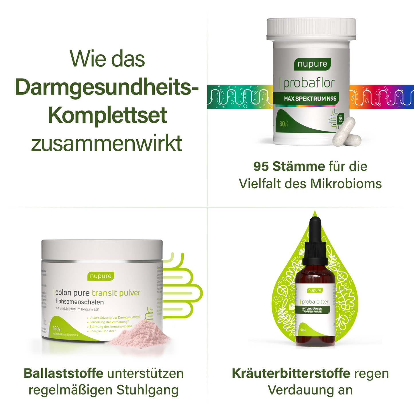 Komplettset für optimale Darmgesundheit