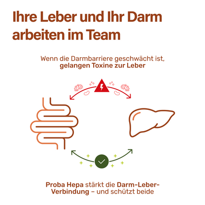 proba hepa Lebergesundheit PRO