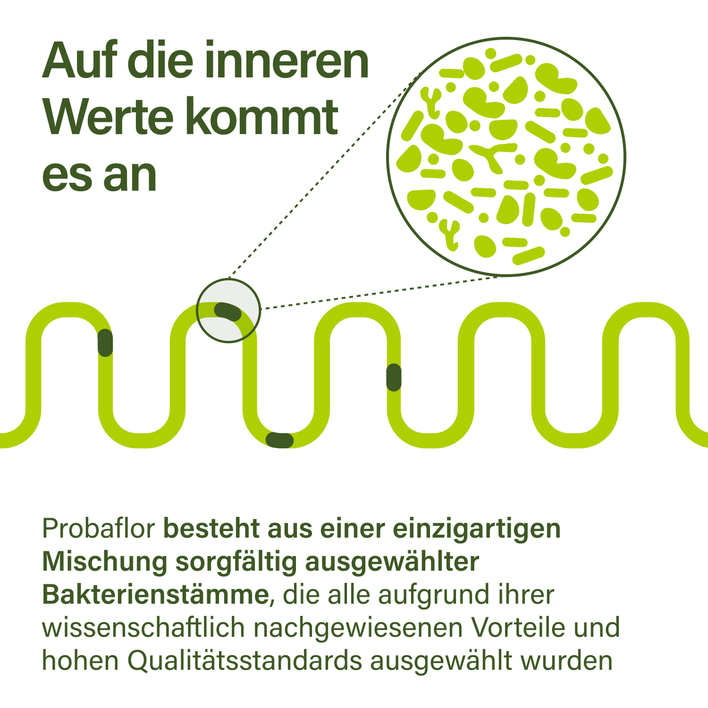probaflor