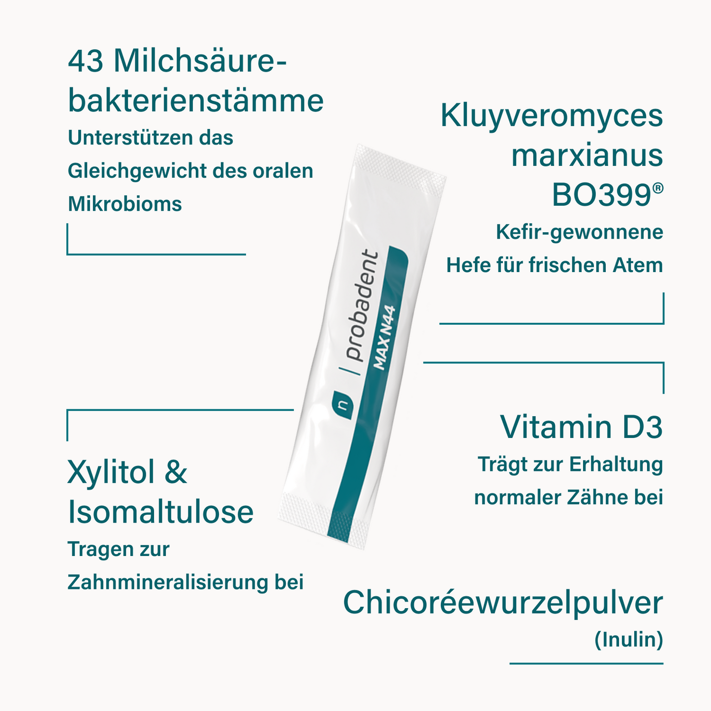 Probadent MAX N44 Pulver
