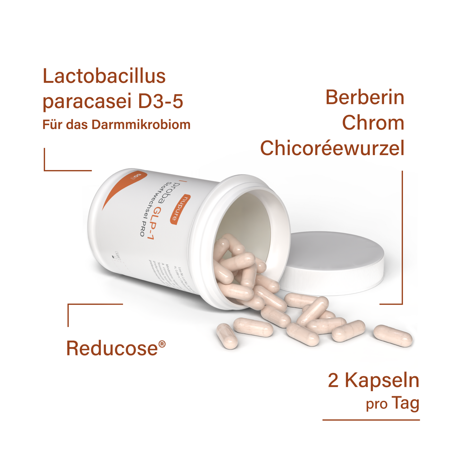 Ultimatives 2-in-1 Abnehm-Paket (ch)