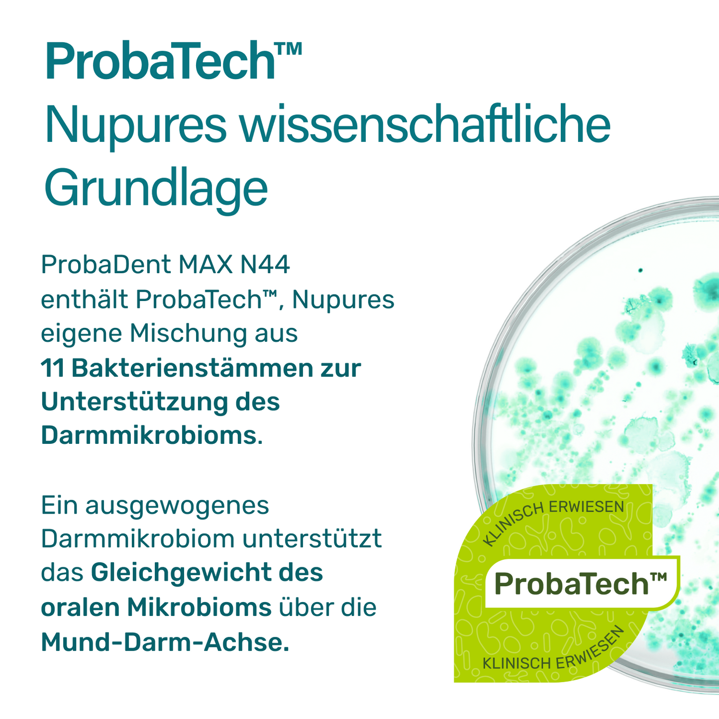 Probadent MAX N44 Pulver