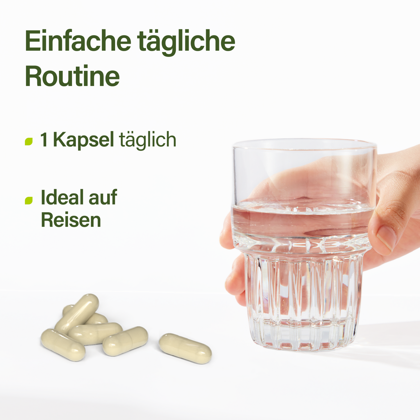 Proba Reise Magen Darm Komplett