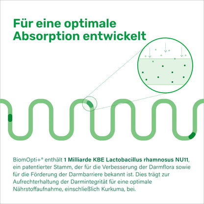 BiomOpti+® kurkuma CurQreal® 10000