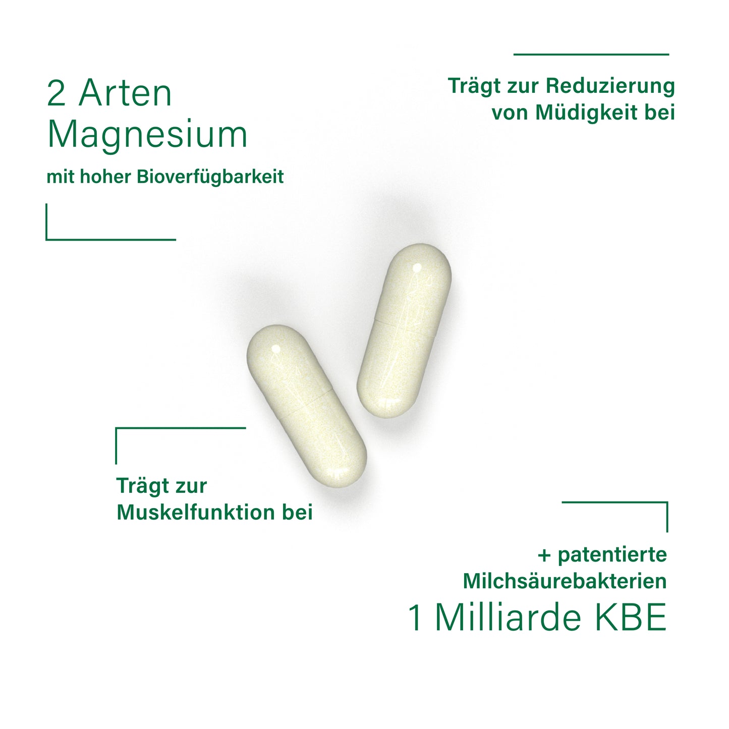 BiomOpti+® magnesium dual fusion